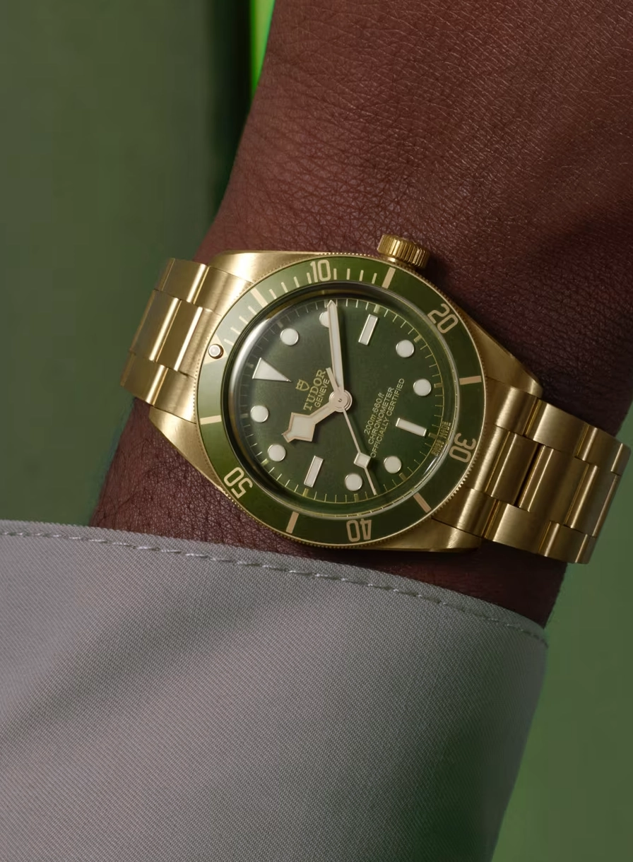 Tudor Black Bay M79018V-0006 (Año 2024)